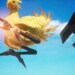 Crisis Core –Final Fantasy VII– Reunion è ora disponibile