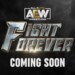 AEW Fight Forever: perché il gioco di wrestling non ha ancora una data di uscita?