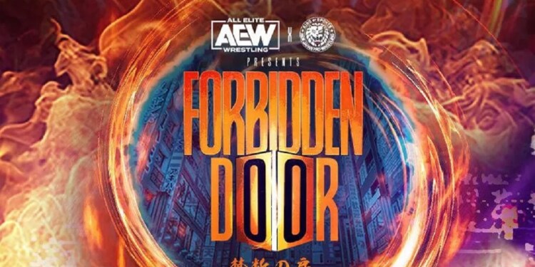 AEW Fight Forever: emergono ulteriori dettagli di gioco