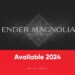 Avventura e mistero vi aspettano in Ender: Magnolia