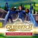 Harry Potter: Campioni di Quidditch è ora disponibile anche su Switch