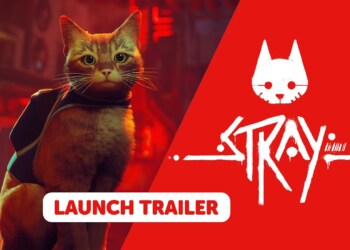 L’edizione fisica di Stray per Nintendo Switch è ora disponibile