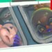 Splatoon Raiders annunciato per Switch 2!