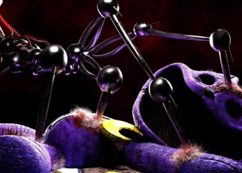 Nuovi dettagli  sull’arrivo di Poppy Playtime: Capitolo 5!