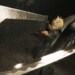 Final Fantasy VII Rebirth: disponibile la demo!