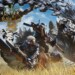 Monster Hunter Wilds: Capcom pronta a tutto per rilanciarlo in Giappone grazie a Switch 2