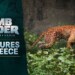 Tomb Raider: Legacy of Atlantis presenta le creature della Grecia