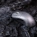 EPOMAKER – Mouse EM3: la recensione